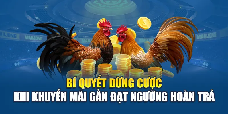 Khuyến Mãi Đá Gà - Săn Ưu Đãi Cực Khủng, Đặt Cược Thông Minh 3 Bí quyết dừng cược khi khuyến mãi gần đạt ngưỡng hoàn trả