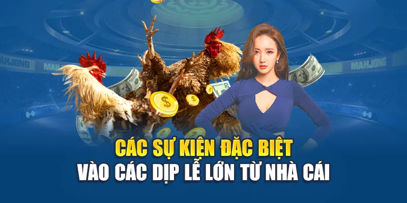 Khuyến Mãi Đá Gà - Săn Ưu Đãi Cực Khủng, Đặt Cược Thông Minh 2 Các sự kiện đặc biệt vào các dịp lễ lớn từ nhà cái
