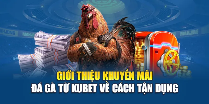 Khuyến Mãi Đá Gà - Săn Ưu Đãi Cực Khủng, Đặt Cược Thông Minh 1 Giới thiệu khuyến mãi đá gà từ Ku bet về cách tận dụng