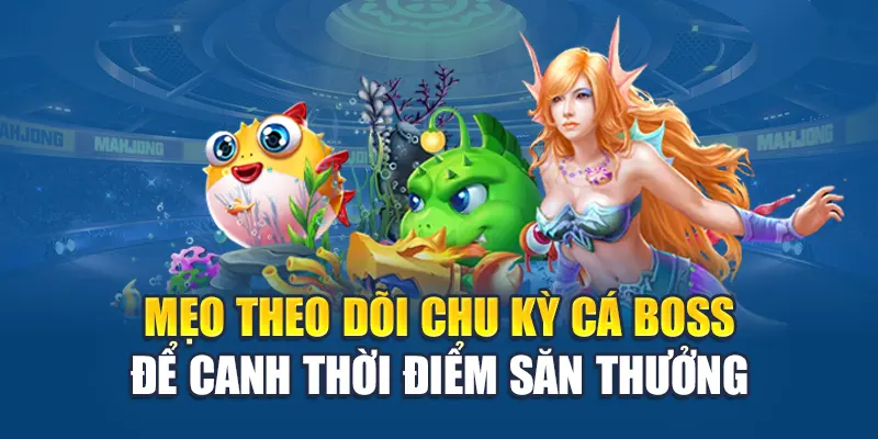 Hack Bắn Cá - Mở Khóa Bí Thuật Săn Xu Đỉnh Cao Tại Kubet 3 Mẹo theo dõi chu kỳ cá boss để canh thời điểm săn thưởng